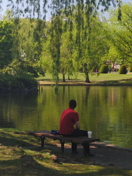 Public Gardens