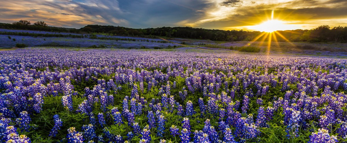 Lone Star Travel Guide